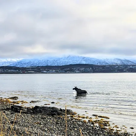 2 Bedroom Near Tromso Apartment Kvaloya