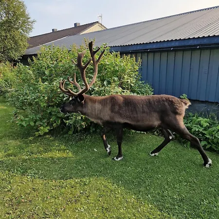 2 Bedroom Near Tromso *